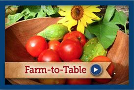 Farm to Table